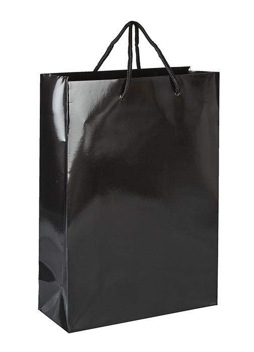 Victory Luxury Laminated Paper Bag - Promotions Only Group Limited