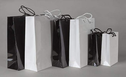 Victory Luxury Laminated Paper Bag - Promotions Only Group Limited