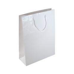 Victory Luxury Laminated Paper Bag - Promotions Only Group Limited